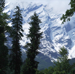 Manali