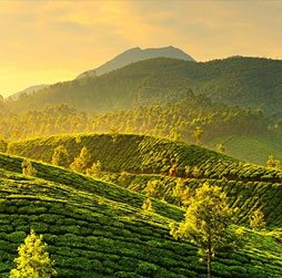 munnar